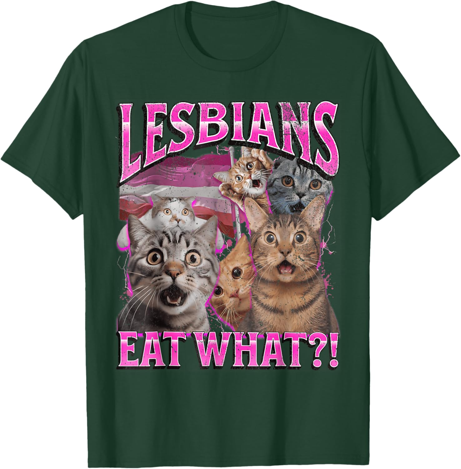 Funny Cat LGBTQ Pride T-Shirt with Lesbians Eat What Pun - Great Gift! - 26