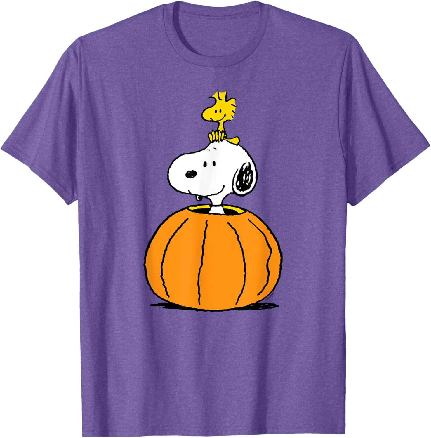 Snoopy Pumpkin T-Shirt with Woodstock Cute Fall Design for Peanuts Fans - 4