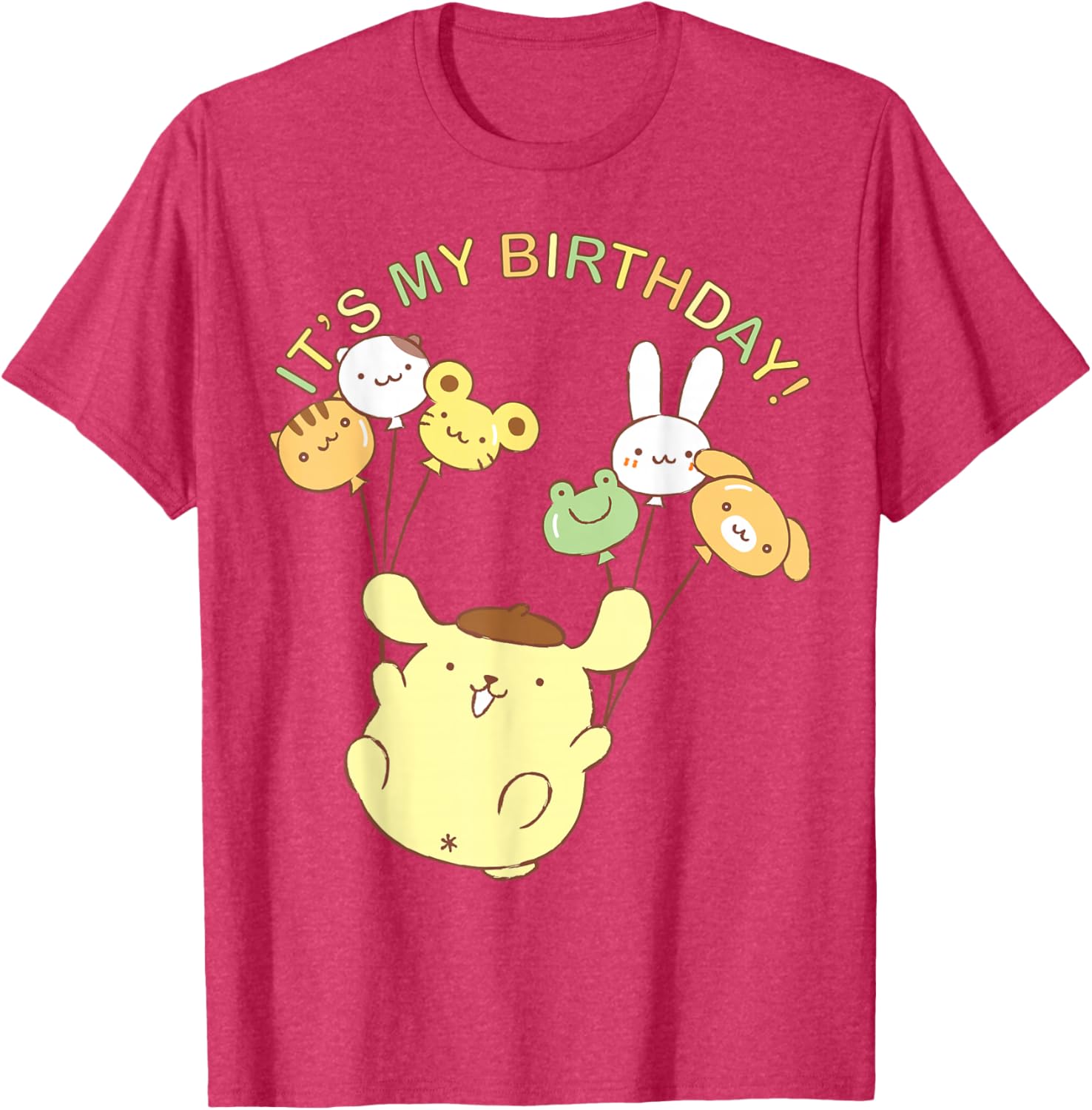 Pompompurin It's My Birthday T-Shirt Cute Design for Celebrations - 19