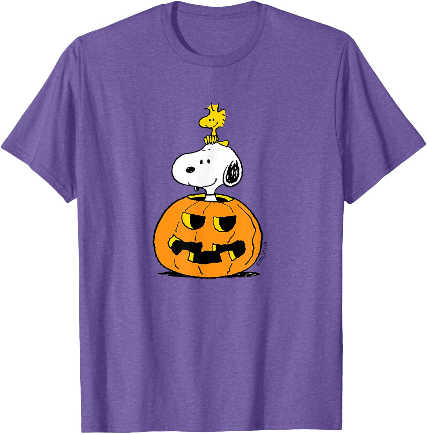 Cute Peanuts Halloween Snoopy Woodstock Pumpkin T-Shirt for Fun Celebrations - 10