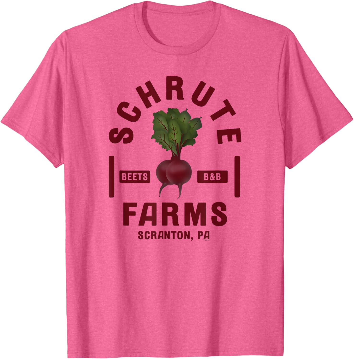 NBC The Office Schrute Farms Short Sleeve T-Shirt for Adults in Grey - 8