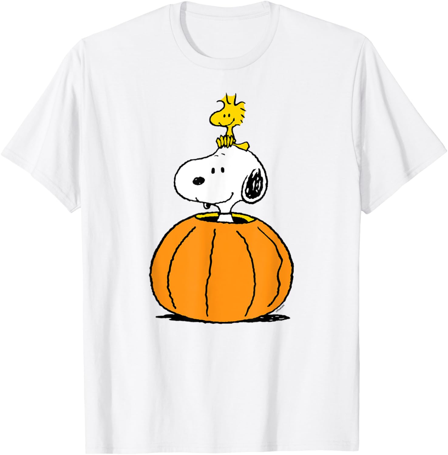 Snoopy Pumpkin T-Shirt with Woodstock Cute Fall Design for Peanuts Fans - 6