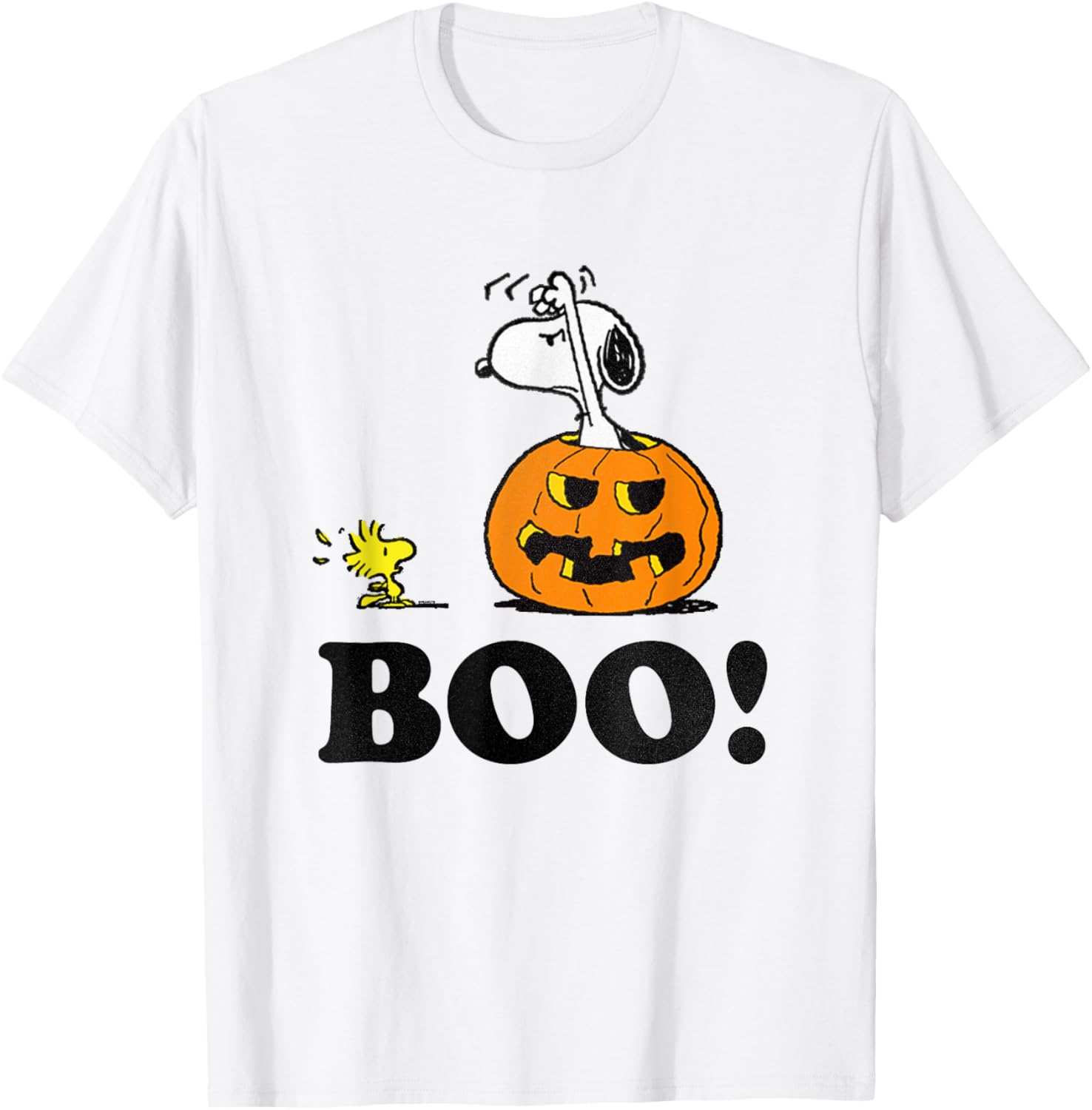 Peanuts Halloween Snoopy and Woodstock Boo T-Shirt for Kids and Adults - 9