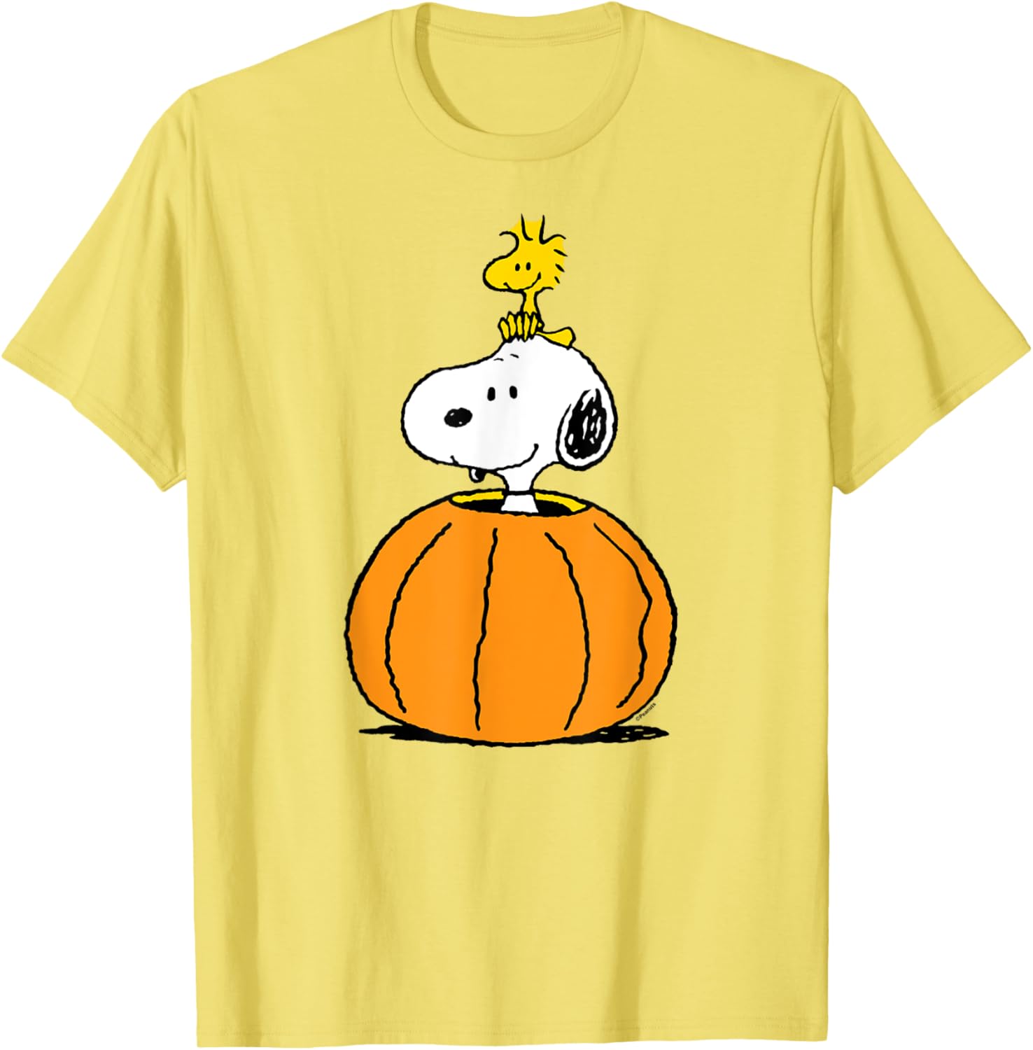 Snoopy Pumpkin T-Shirt with Woodstock Cute Fall Design for Peanuts Fans - 9