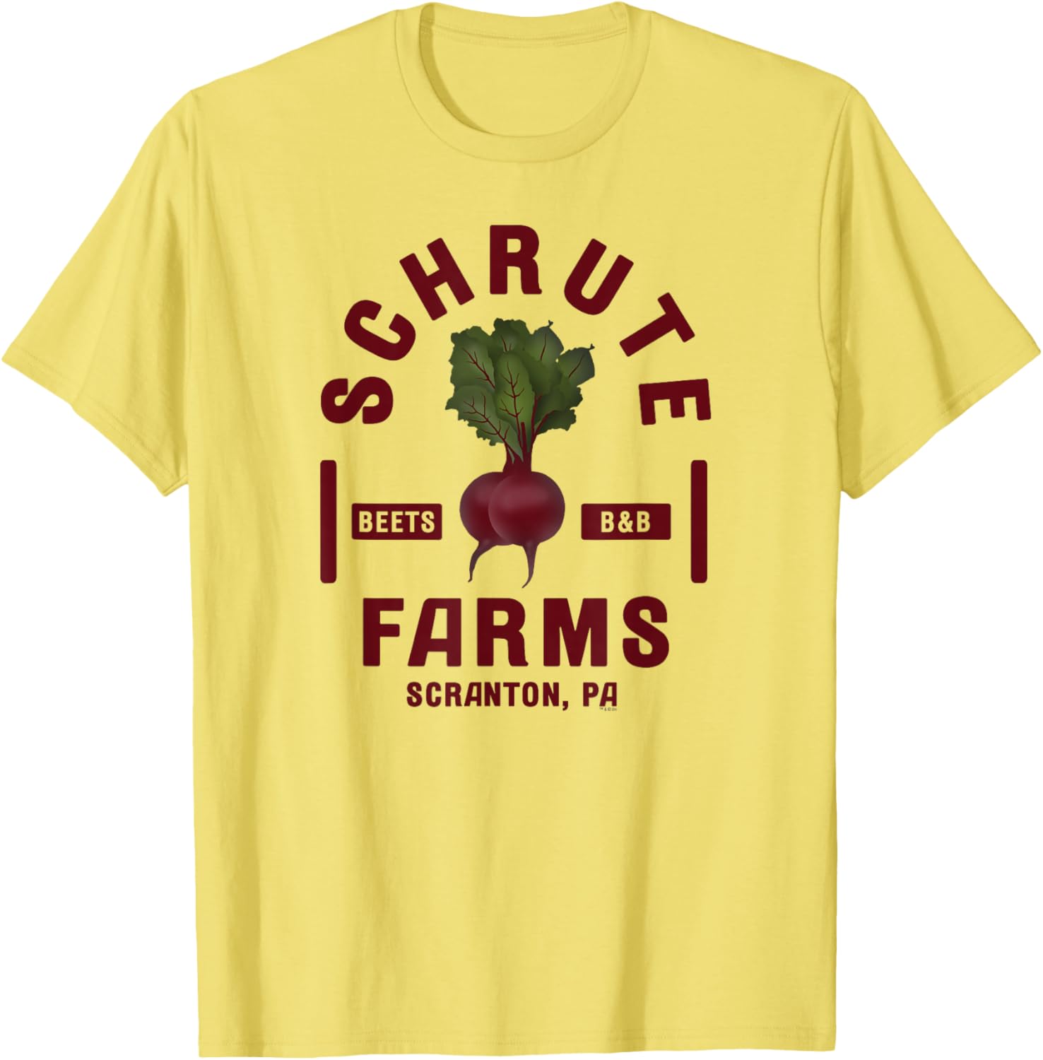 NBC The Office Schrute Farms Short Sleeve T-Shirt for Adults in Grey - 3