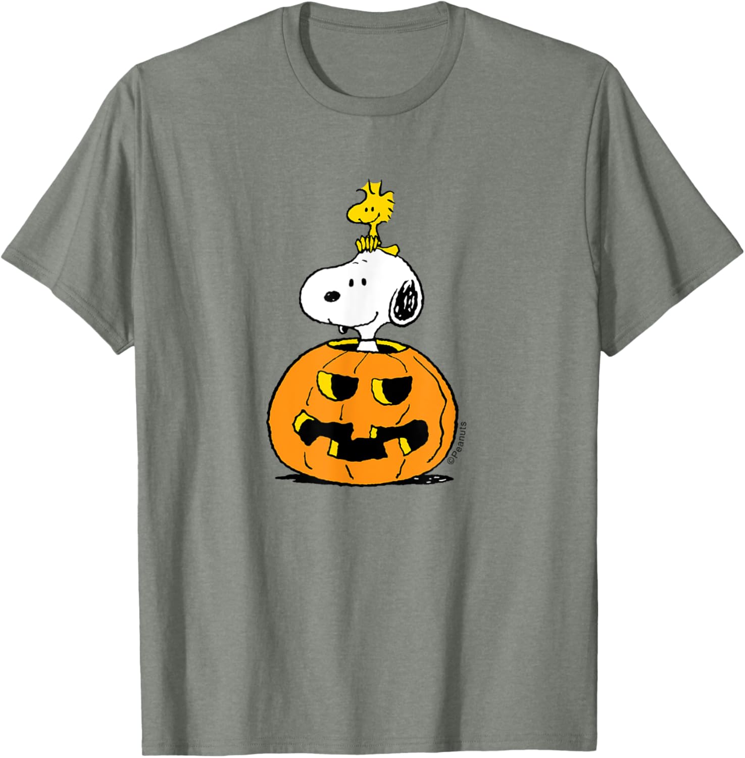 Cute Peanuts Halloween Snoopy Woodstock Pumpkin T-Shirt for Fun Celebrations - 8