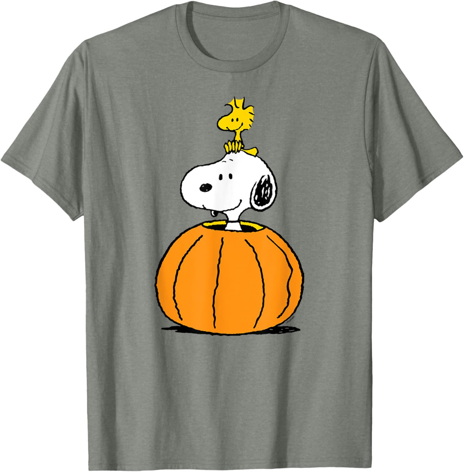 Snoopy Pumpkin T-Shirt with Woodstock Cute Fall Design for Peanuts Fans - 10