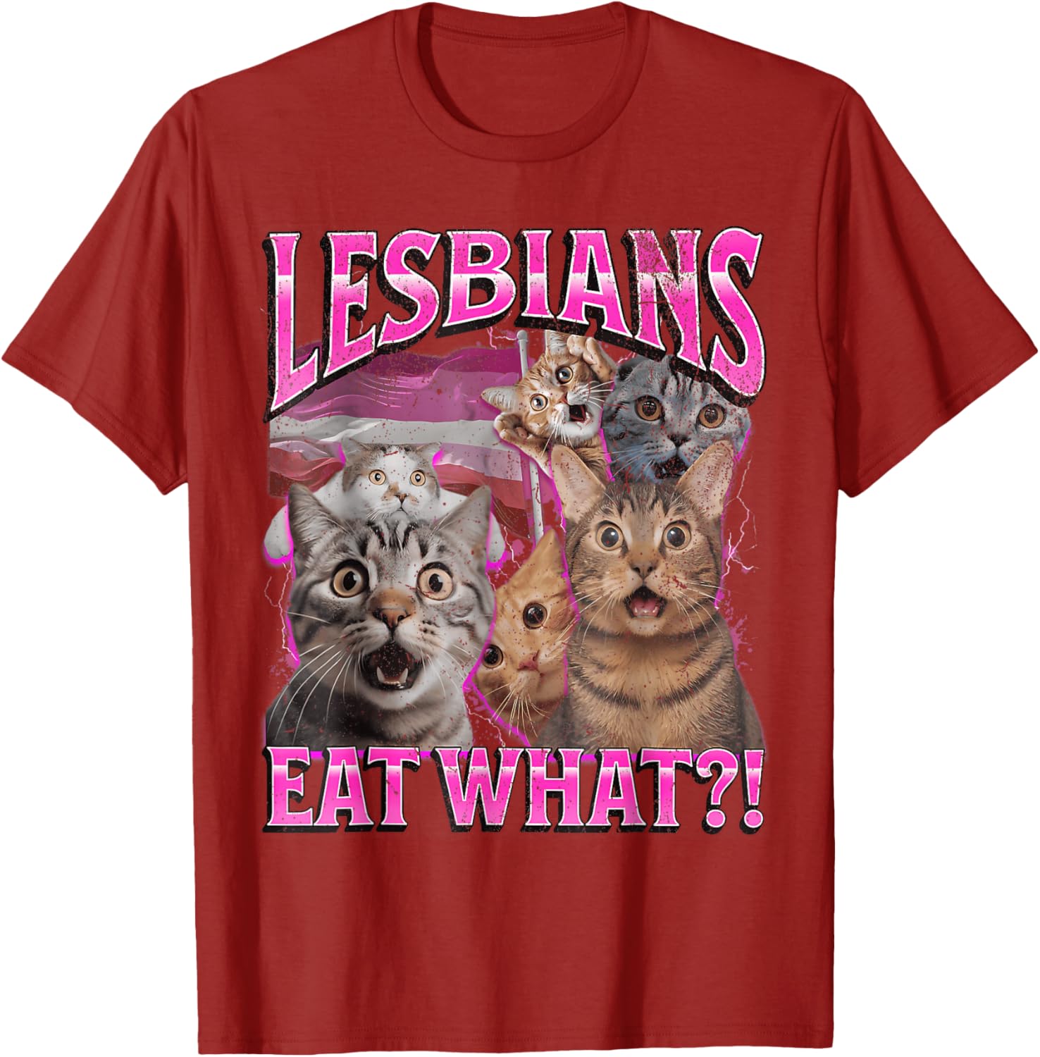 Funny Cat LGBTQ Pride T-Shirt with Lesbians Eat What Pun - Great Gift! - 12