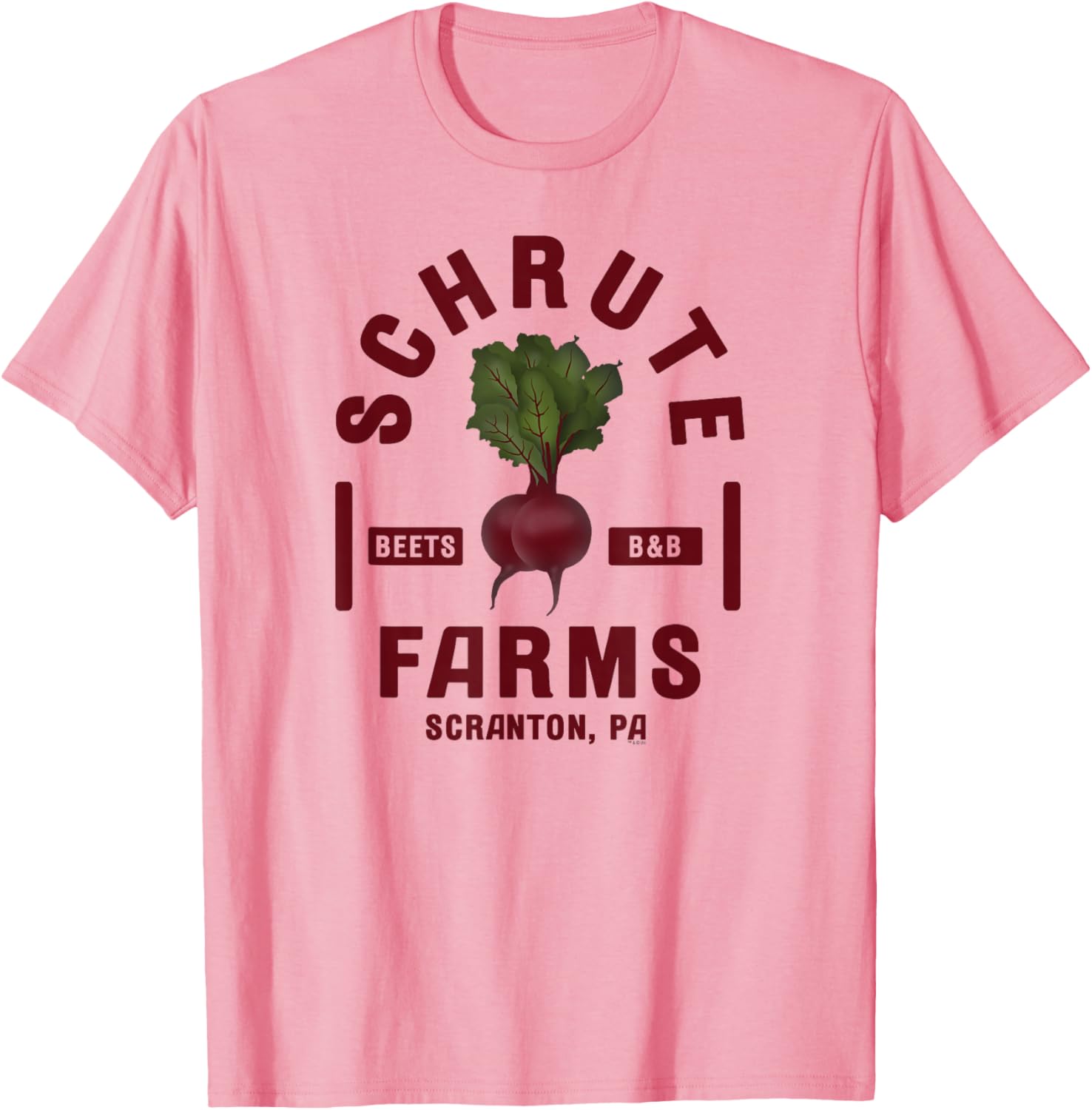 NBC The Office Schrute Farms Short Sleeve T-Shirt for Adults in Grey - 9