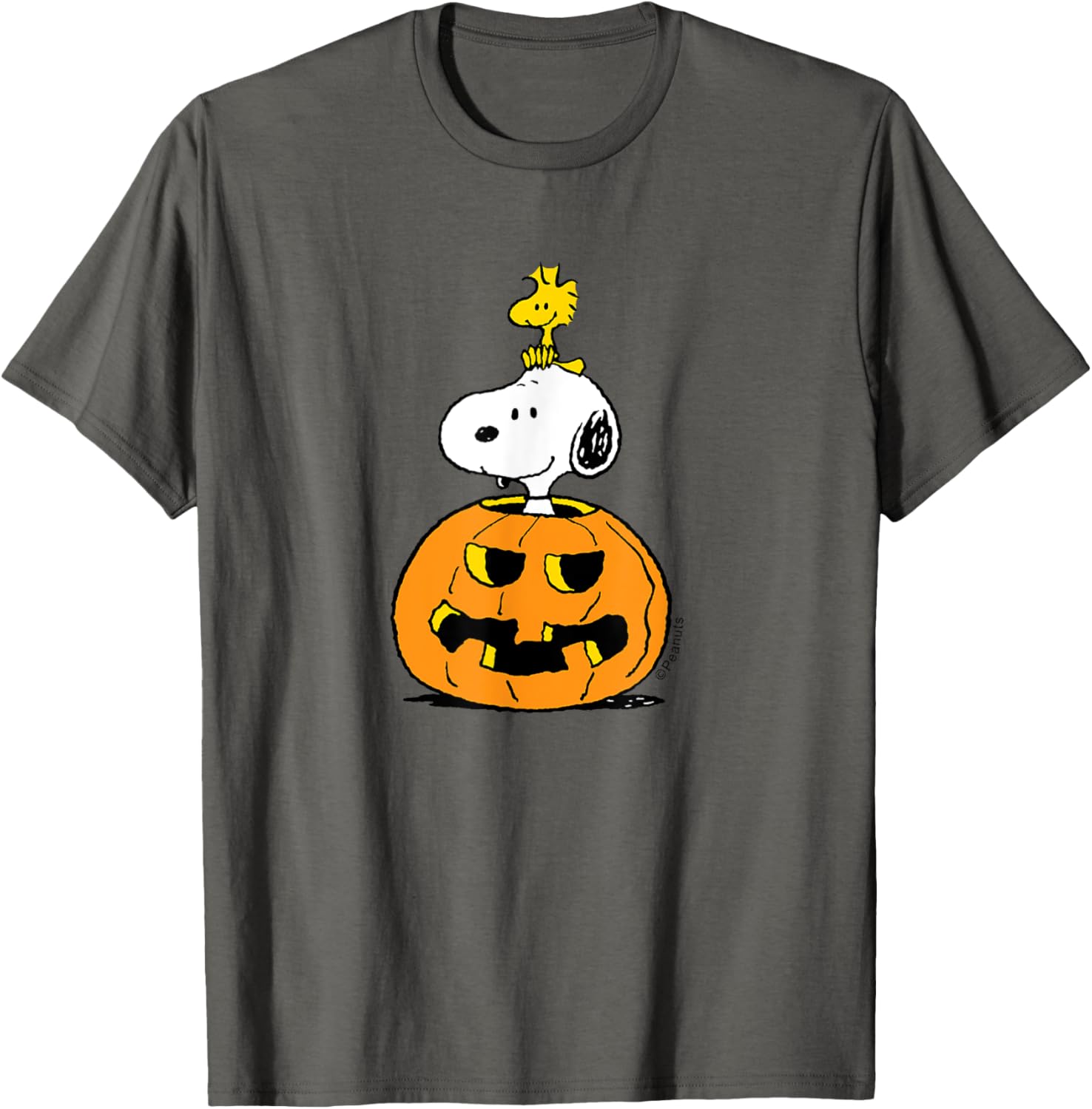 Cute Peanuts Halloween Snoopy Woodstock Pumpkin T-Shirt for Fun Celebrations - 1