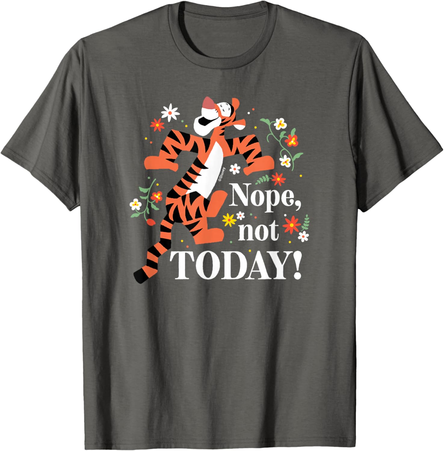 Winnie The Pooh Tigger Nope Not Today T-Shirt Fun Cozy Apparel - 3