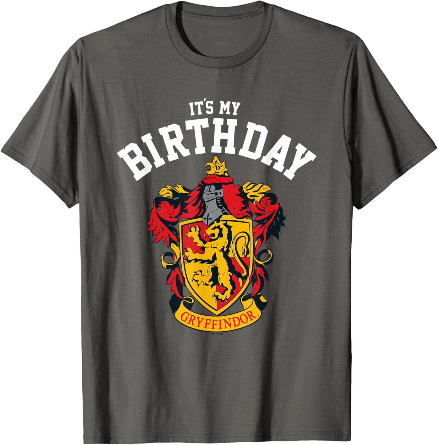 Harry Potter Gryffindor Birthday T-Shirt for Kids and Adults - Magical Gift - 3