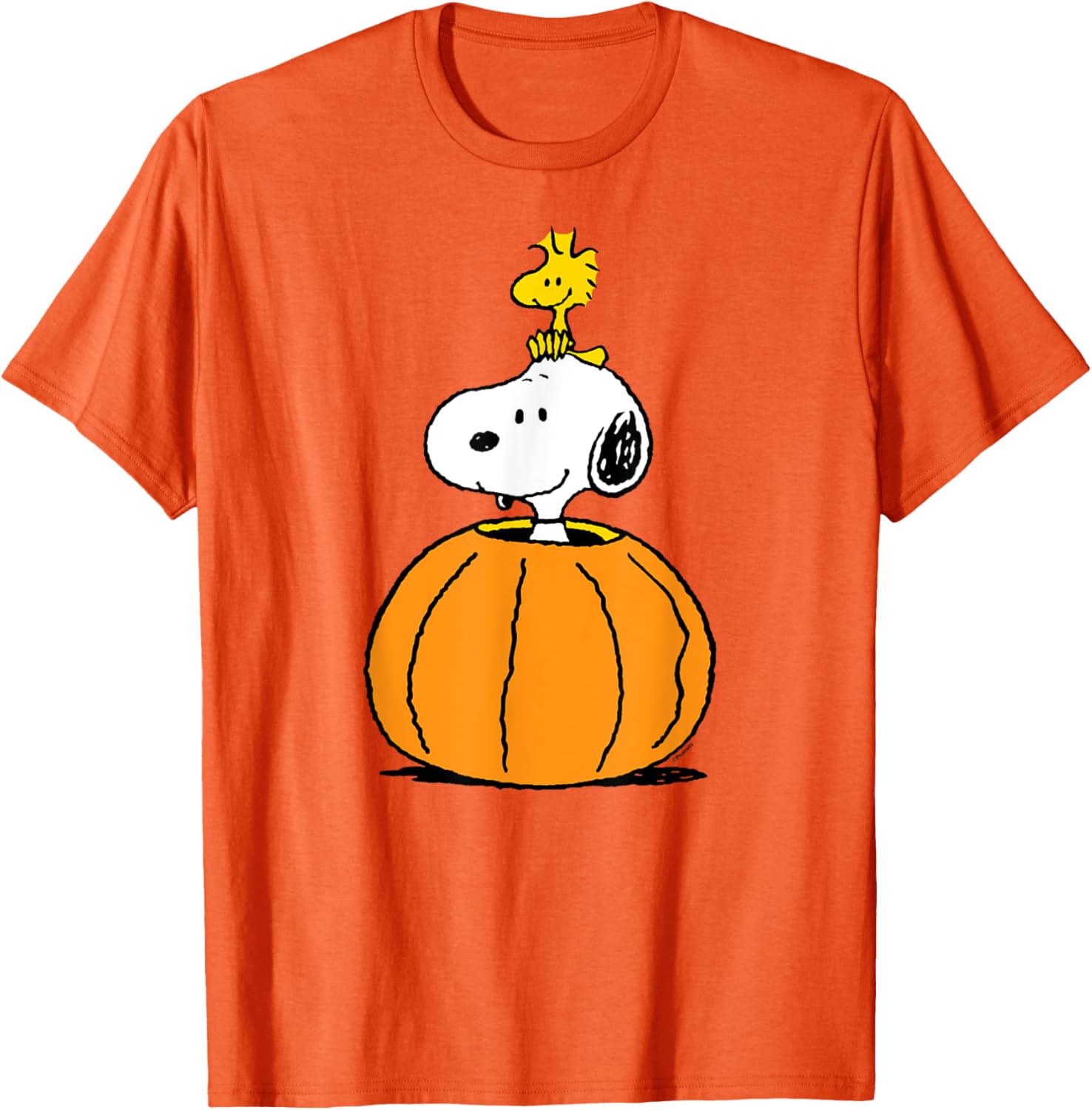 Snoopy Pumpkin T-Shirt with Woodstock Cute Fall Design for Peanuts Fans - 5