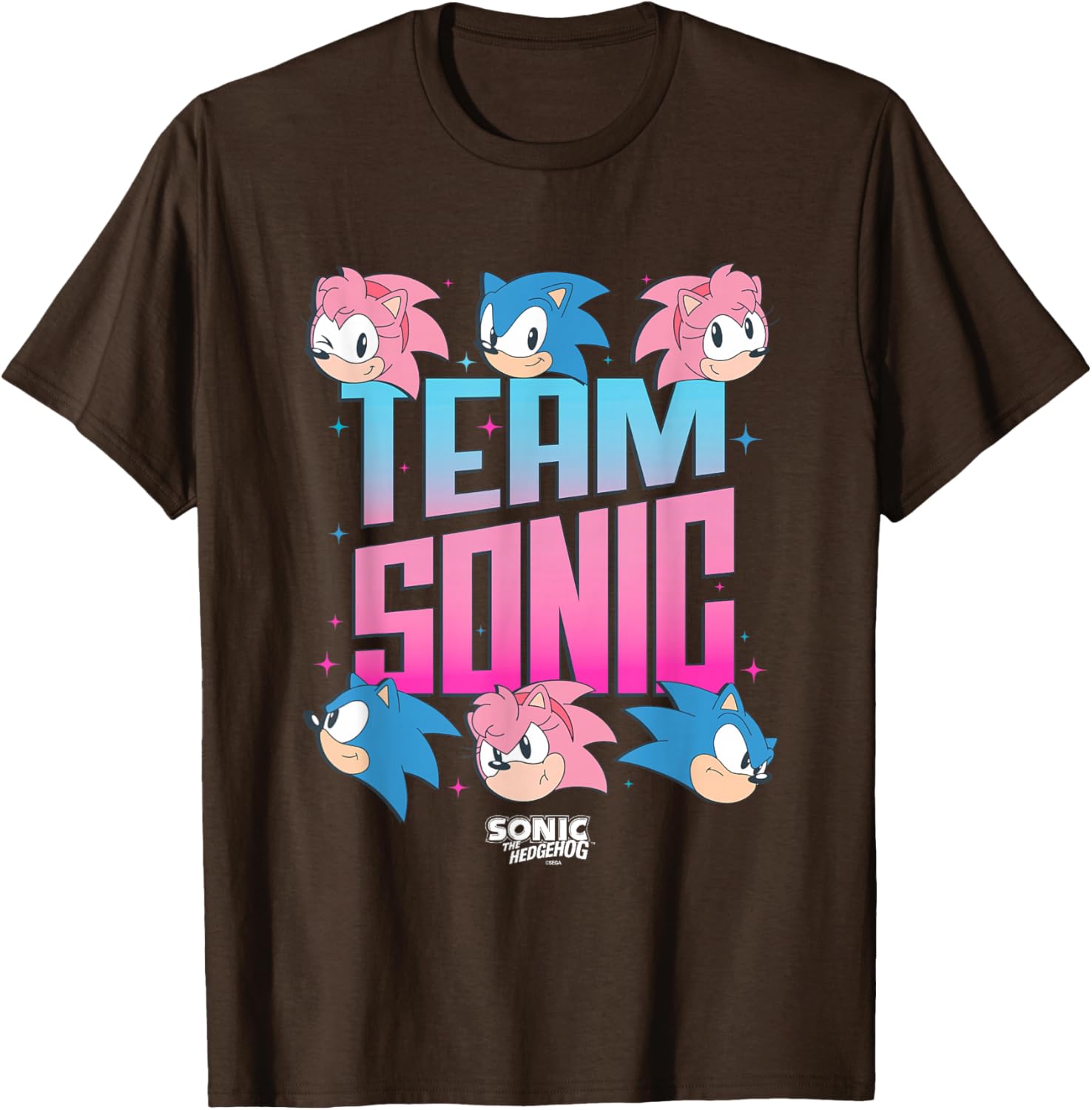 Sonic The Hedgehog Team Amy Rose Retro Logo T-Shirt for Fans - 1