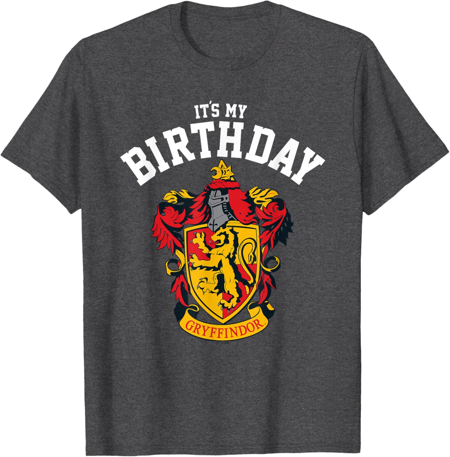Harry Potter Gryffindor Birthday T-Shirt for Kids and Adults - Magical Gift - 2