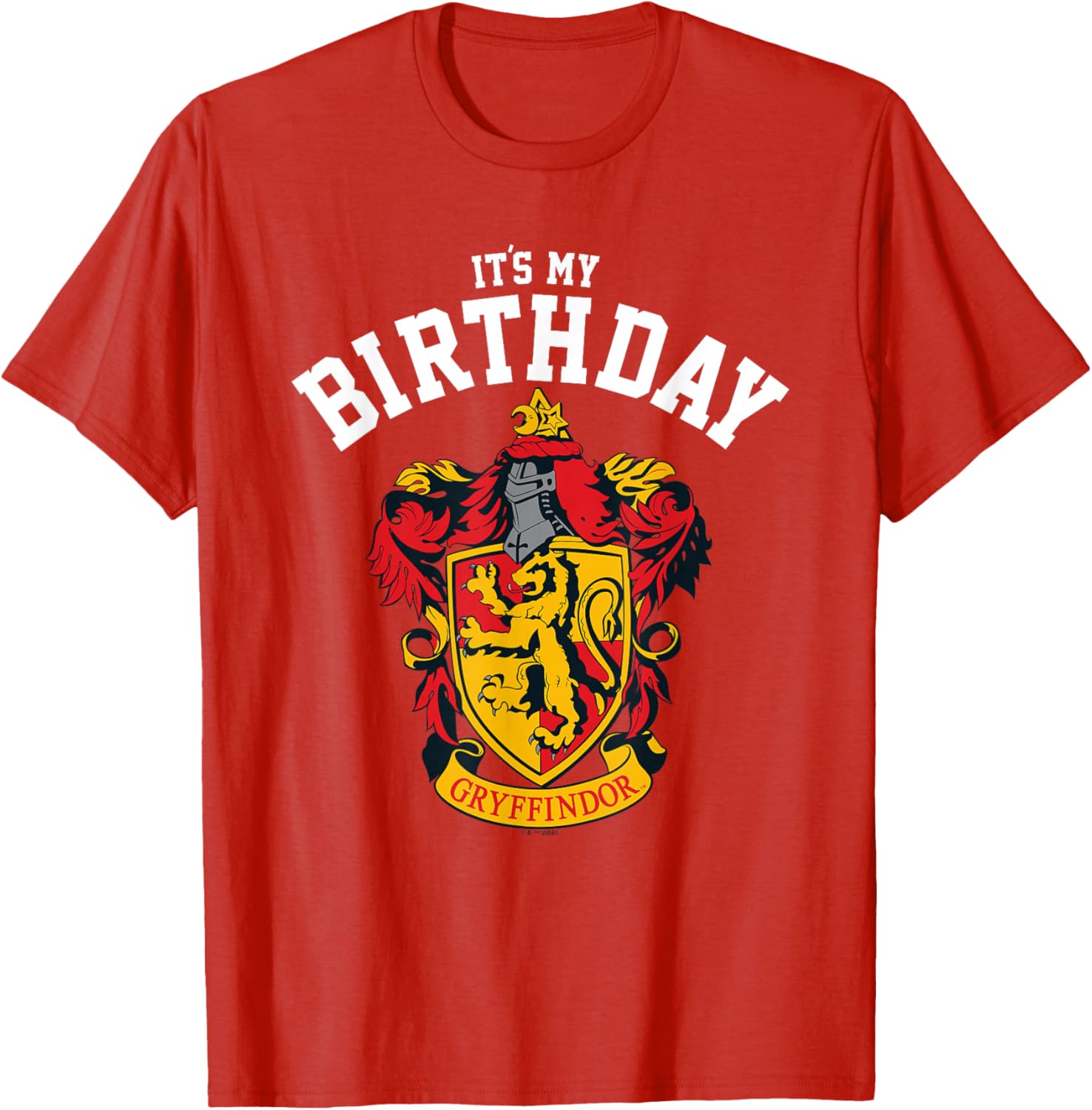 Harry Potter Gryffindor Birthday T-Shirt for Kids and Adults - Magical Gift - 4