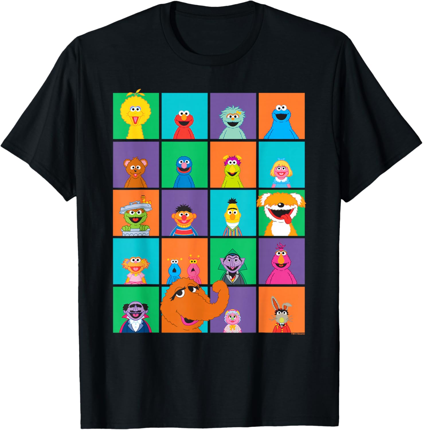 Sesame Street Character Squares T-Shirt for Kids Fun and Comfort - 5