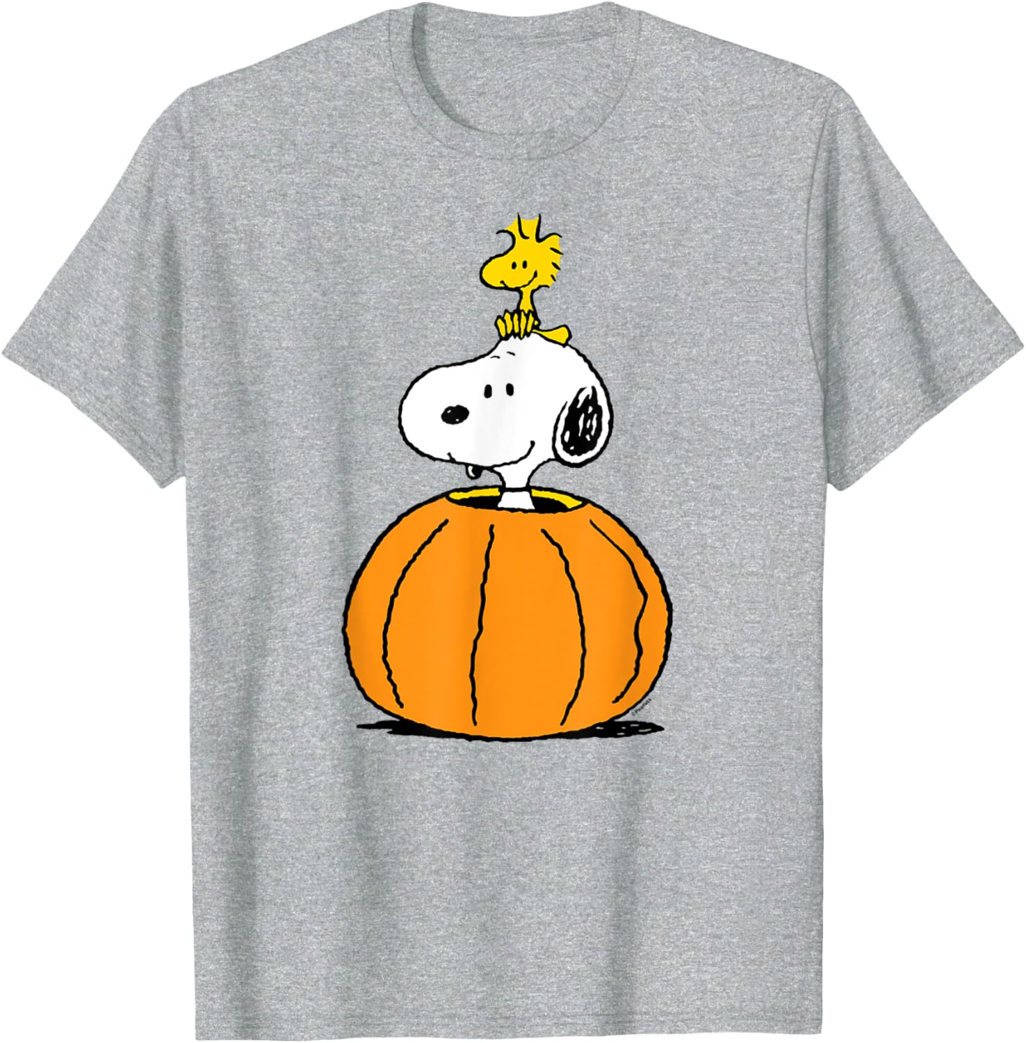 Snoopy Pumpkin T-Shirt with Woodstock Cute Fall Design for Peanuts Fans - 2